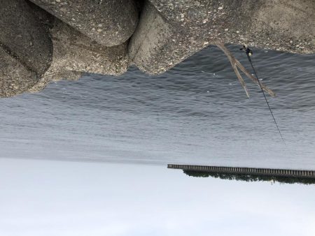 6/27　ちょい投げ釣り、ジギング